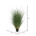 thumbnail image 3 of Vickerman 36" Artificial Potted Green Curled Grass., 3 of 6