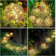 thumbnail image 2 of Luces de bola de vidrio crujiente, lámpara de césped, luces de jardín, lámpara solar, decoración al aire libre, bola de vidrio agrietada impermeable (1 pieza, 10 cm), 2 of 5