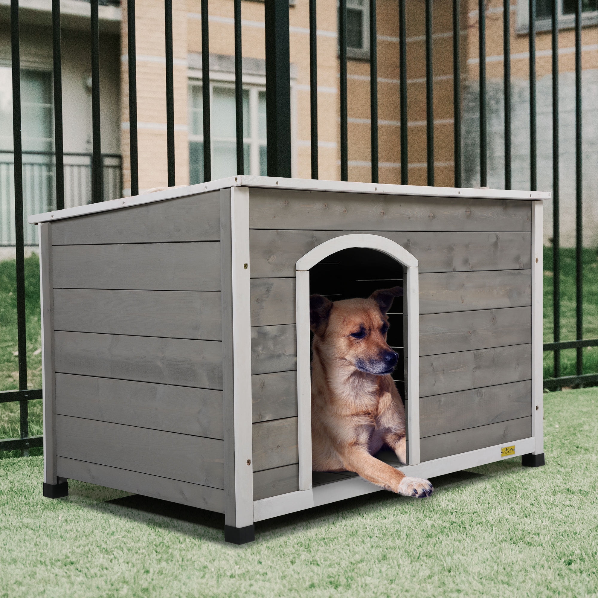indoor dog hut