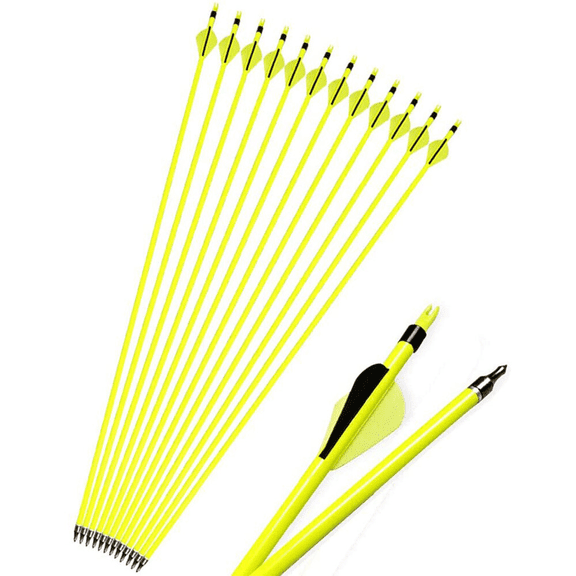 500 Spine Carbon Arrow Set – 2" Rubber Vanes, 100gr Replaceable Tips
