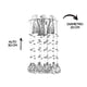 thumbnail image 5 of Candil de Cristal Cortado Gamalux Williams Krystal Redondo de 3 Luces Gamalux, 5 of 5