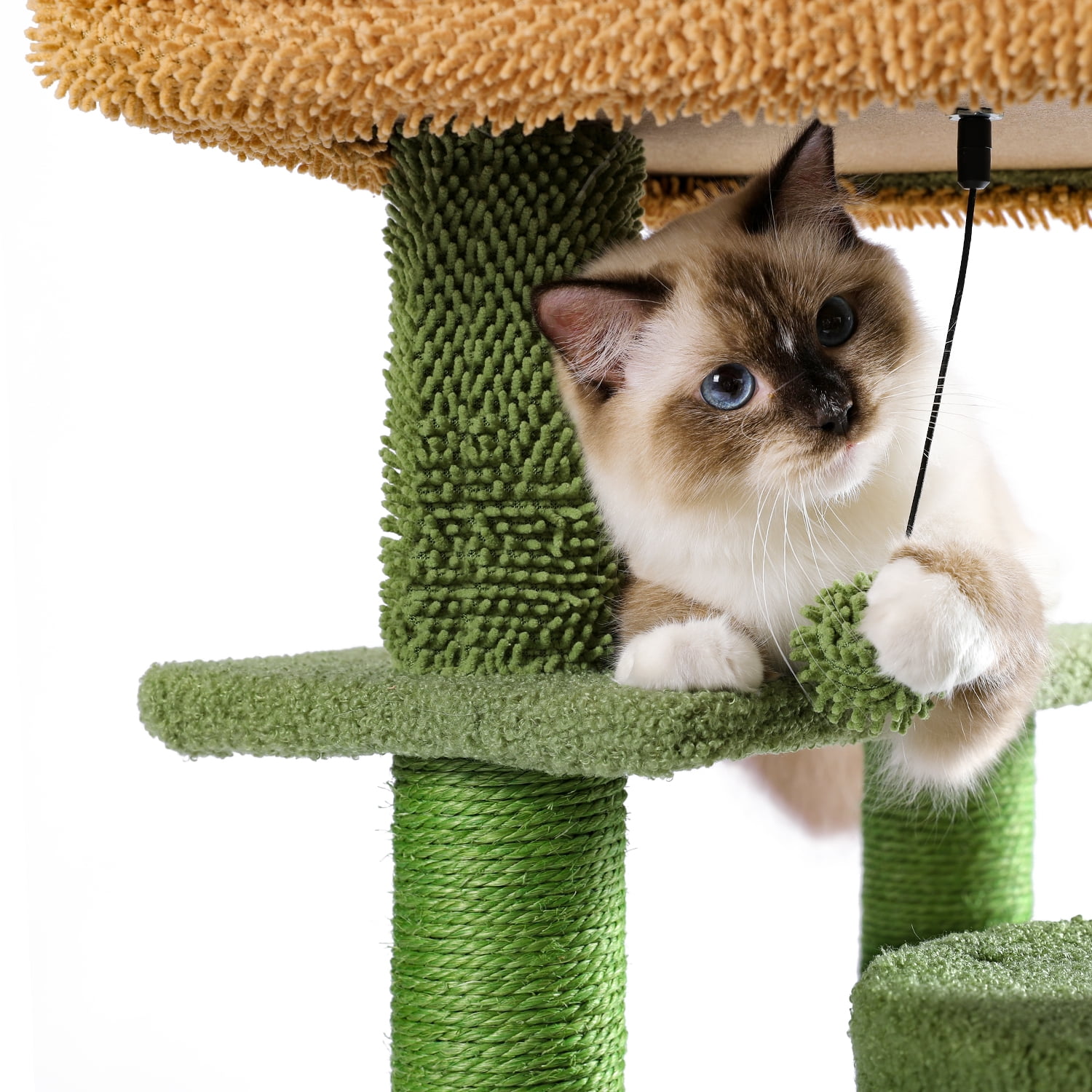 Pefilos Cat Tree 35 Inches Cactus Cat Tower with Sisal Covered Scratching Post, Cozy Condo, Cat Condo for Multiple Cats Plush Perches and Climbing Ladder for Indoor Cats, Green Pefilos Cat Tree 35 Inches Cactus Cat Tower with Sisal Covered Scratching Post, Cozy Condo, Cat Condo for Multiple Cats Plush Perches and Climbing Ladder for Indoor Cats, Green