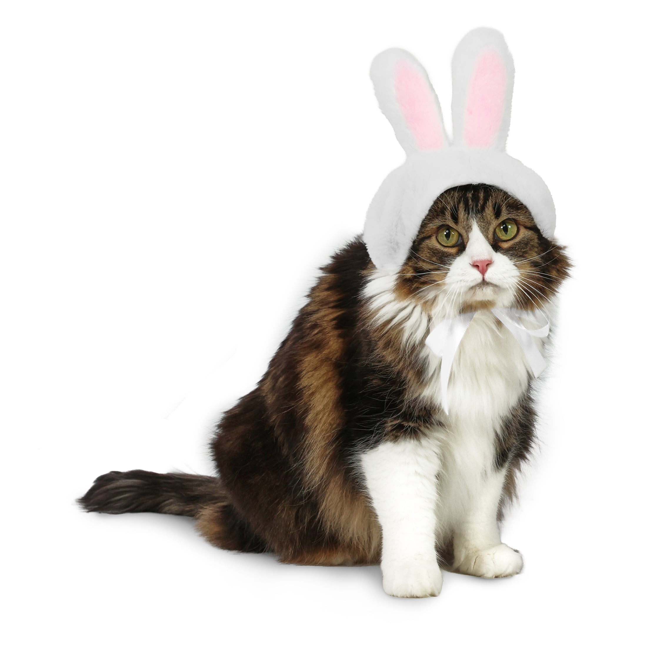 Vibrant Life Easter Bunny Ears for Cats & Dogs, White, S