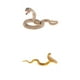 thumbnail image 1 of 2 Piezas de Plástico de Silvestre Modelo de Serpiente de Acción Juguetes Decoración de Enseñanza Hugo Figuras de acción de vida silvestre, 1 of 10