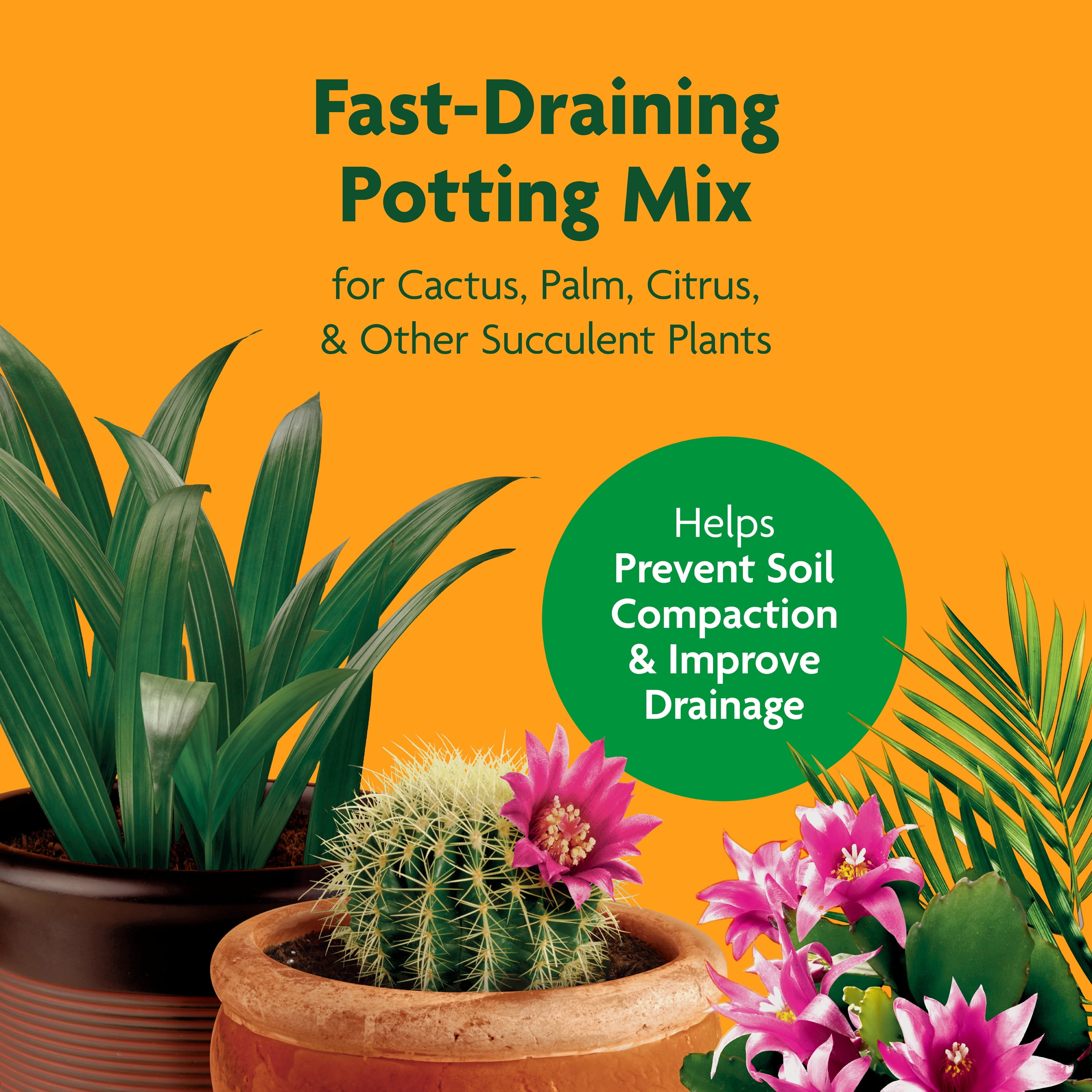 Miracle-Gro Cactus, Palm and Citrus Potting Mix, For Potted Plants, 8 qt., 2-Pack