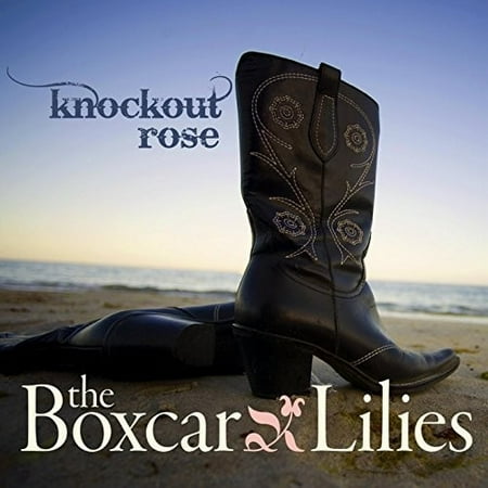 Knockout Roses - Knockout Rose