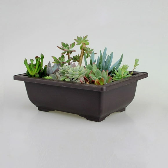 Imitation Purple Sand Dark Brown Antique Flower Pot Suitable For Succulent Small Potted Small Bonsai Wreath Display for Home Garden