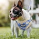 thumbnail image 4 of Arnés suave para perros sin tirones, arnés para perros y gatos, correa de invierno para perros, chaleco ajustable para perros pequeños, medianos, Chihuahua y Bulldog, 4 of 5
