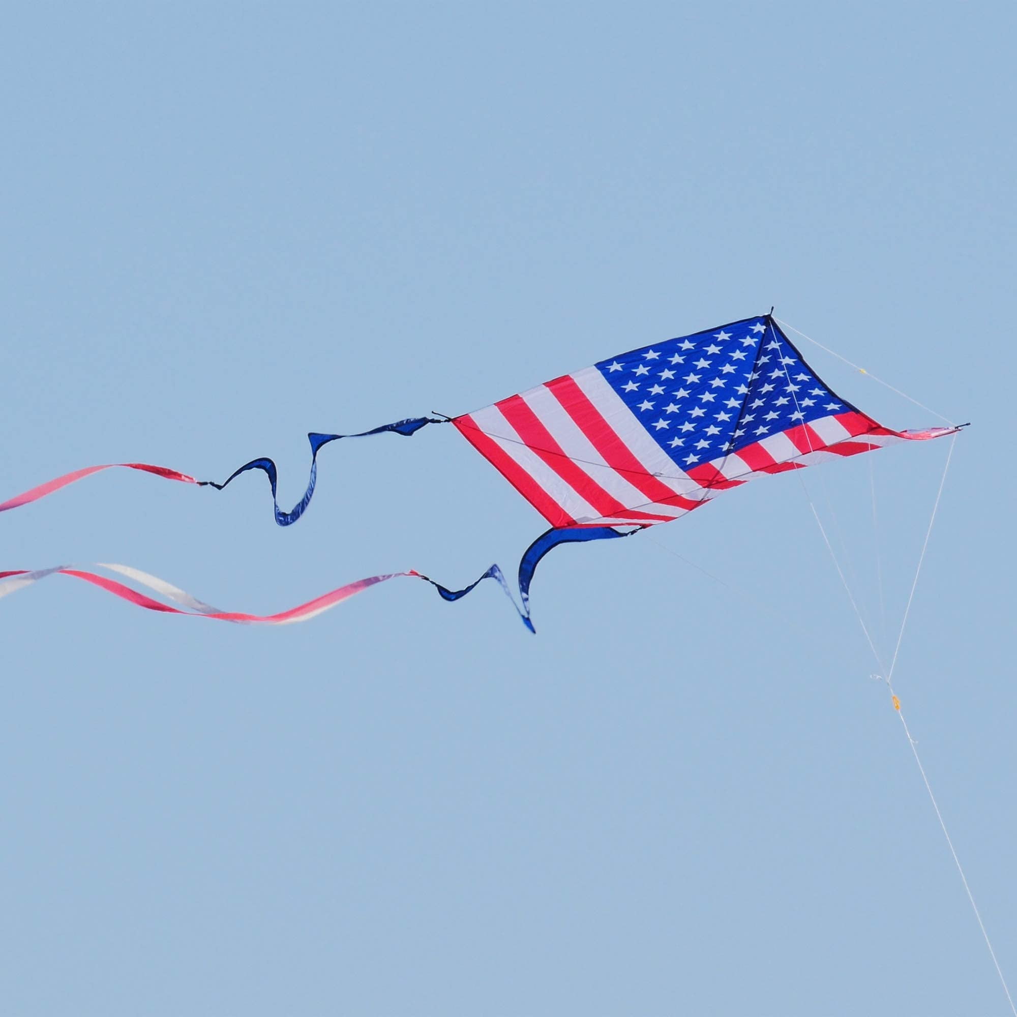 WindNSun Supersize Ultra High Definition 2D Large Ripstop Nylon Kites
