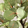 thumbnail image 4 of SAFAVIEH Faux 34.25 Inch Eucalyptus Potted Tree, White, 4 of 5