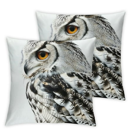 

WGOD Owl Short Plush Pillowcase Cover Set of 2 for Home Furnishing Square Design Heat Transfer Printing Car Couch Bedroom Decorative Pillow Sham Pack of 2 22x22in