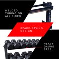 thumbnail image 3 of Body-Solid GDR60 2 Tier Horizontal Dumbbell Weight Rack, 3 of 8