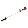 Tanaka TCS27EPAP 26.9cc Gas 2-Stroke 10 in. Pole Saw