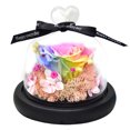 thumbnail image 1 of Decoración de flores eternas rosa con fondo de musgo amor cubierta de vidrio flores secas regalos navideños Regalos de cumpleaños para familiares y amigos, 1 of 5