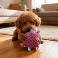 thumbnail image 6 of Byujiro Colorful Plush Squeaky Dog Ball Toy with Tags, Soft Interactive Dog Toy with Bell, Durable for Chewing, Teething & Play, Suitable for Small to Medium Dogs, 6 of 6