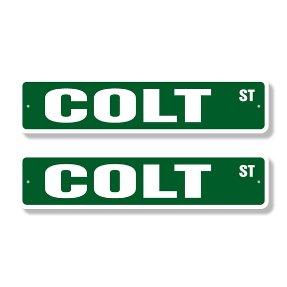 COLT Classic Street Sign (2 Pack) Childrens Name Room Sign Road Sign | 4" X 18" Plastic Address Sign