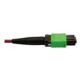 thumbnail image 4 of Eaton Tripp Lite Series 400G Multimode 50/125 OM4 Plenum Fiber Optic Cable, 16F MTP/MPO-APC to MTP/MPO-UPC (F/F), Magenta, 1 m - Network cable - MTP/MPO/APC multi-mode (F) to MTP/MPO/UPC multi-mode (F) - 1 m - fiber optic - 50 / 125 micron - OM4 - plenum - black, magenta, green, 4 of 5