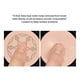 thumbnail image 2 of Air Cushion Mushroom Head Cc Bb Cream Makeup Concealer Foundation Moisturizing, 2 of 5