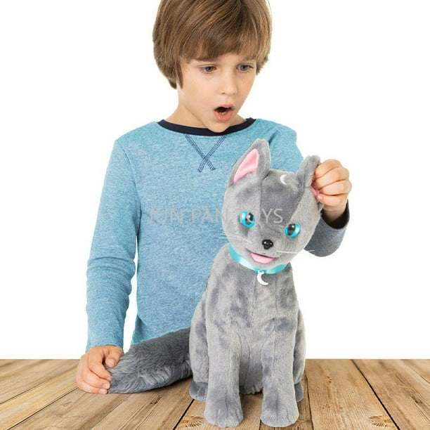 Adora Amazing Pets Misty The Grey Kitty - Juguete De 4.5 Pulgadas Para La Mayoría De Muñecas De 18 Pulgadas, Juego De 6 Piezas Incluye Gato De Juguete Y Accesorios (exclusivo