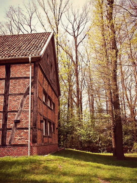 The home in the tree. Home tree. tree hut. nature home. among trees.