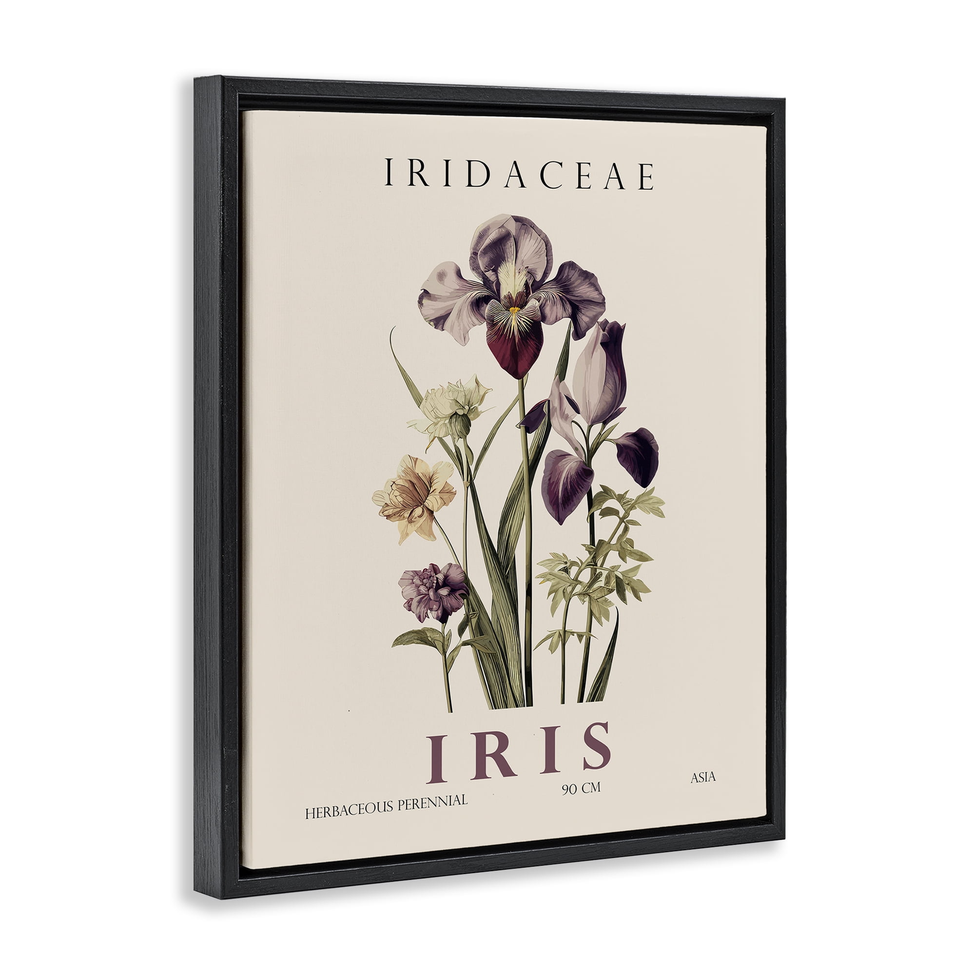 Stupell Industries Natural Iris Bundle Black Framed Floater Canvas Wall Art, design by Christopher Giampietro