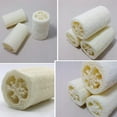 thumbnail image 3 of AURORA TRADE 6PCS Natural Loofahs, Loofa Sponge Organic Exfoliating Luffa Real Body Scrubbers Skin Face Back Spa Bath Eco Friendly Loofah for Men Women Adults, 3 of 5