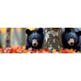 thumbnail image 4 of Forest Scene Banner with Two Bears and Giant Tree Party Decoration Background Backdrop Photography Props for Events Nature Themed Parties Wilderness Celebrations, 4 of 4