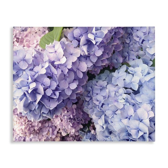 Stupell Industries French Country Pastel Hydrangea Flower Petals Canvas Art, 40 x 30, by Lil' Rue