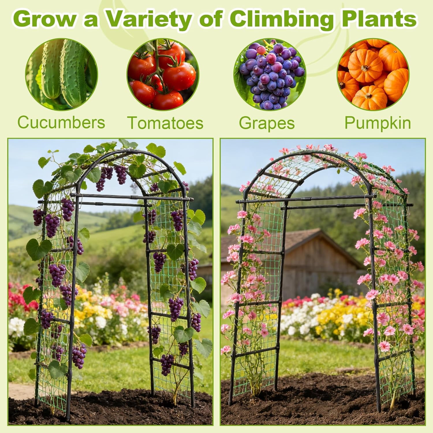 Garden Arch Trellis for Climbing Plants Outdoor, Metal Plants Support Trellis for Climbing Vine Tomato Vegetable Flower Fruit, Cucumber Trellis for Raised Bed (32 x 83 Inch)
