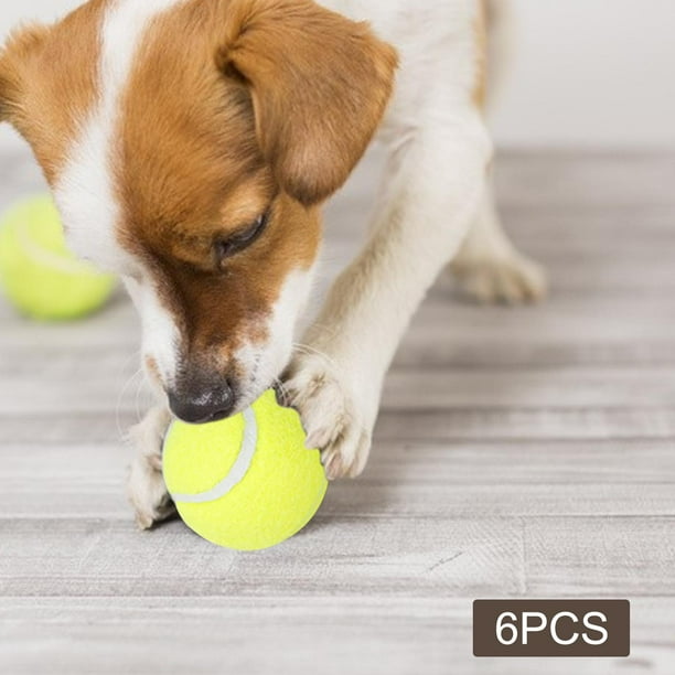 Dog toy that hotsell throws tennis balls