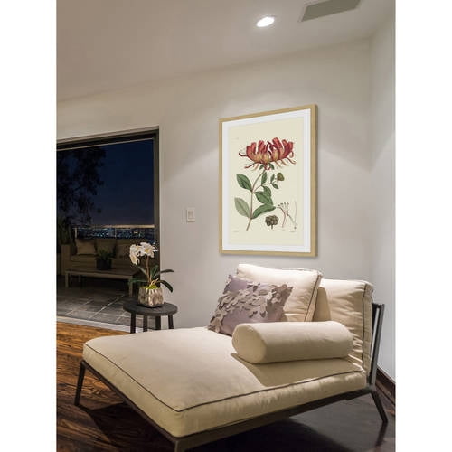 "Antique Floral II" Framed Painting Print