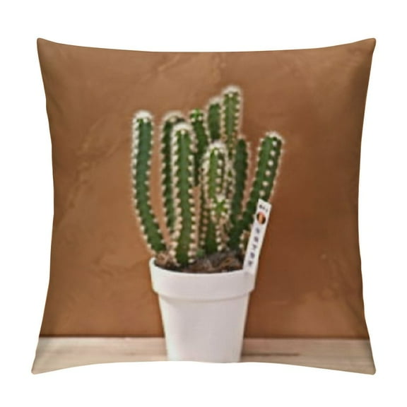 Starfish Shell Pillow for Floor, Sofa, Reading Cushion (Orange