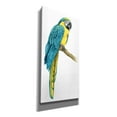 thumbnail image 2 of Epic Graffiti 'Teal Macaw I' by Grace Popp, Giclee Canvas Wall Art, 12"x24", 2 of 8