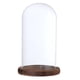 thumbnail image 3 of 2xglass dome / wood base flor paisajista cubierta de vidrio negro g BLESIY Cúpula transparente con base de madera, 3 of 8