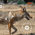 thumbnail image 4 of Ez Aim Paper Shooting Targets, Coyote, 35 In x 25 In, 2-Pack, Multi-Color, 4 of 5