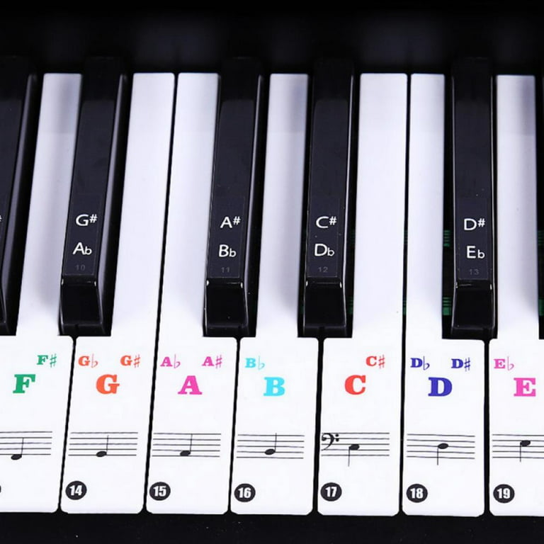 Piano Keyboard Stickers for 88/61/54/49/37 Key. Colorful Large