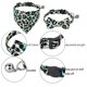 thumbnail image 3 of Bufandas para mascotas, ropa tejida para perros y gatos, bufandas para gatos, bufandas verdes para mascotas 2086, 3 of 6