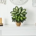 thumbnail image 6 of Nearly Natural 18" Dieffenbachia Artificial Plant in Ceramic Planter, Green, 6 of 6