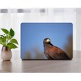 thumbnail image 1 of KSK KAISHEK Hard Shell Case Cover Only Compatible 2020 - 2019 Rel. MacBook Pro 16" with XDR Display Type C Model: A2141 Feather Series 0237, 1 of 5