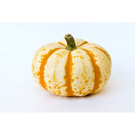 

10 Dwarf Tiger Striped Pumpkin Seeds - Colorful Fall Decor - 10 Pack of Seeds to Grow - Fall Squash Decor