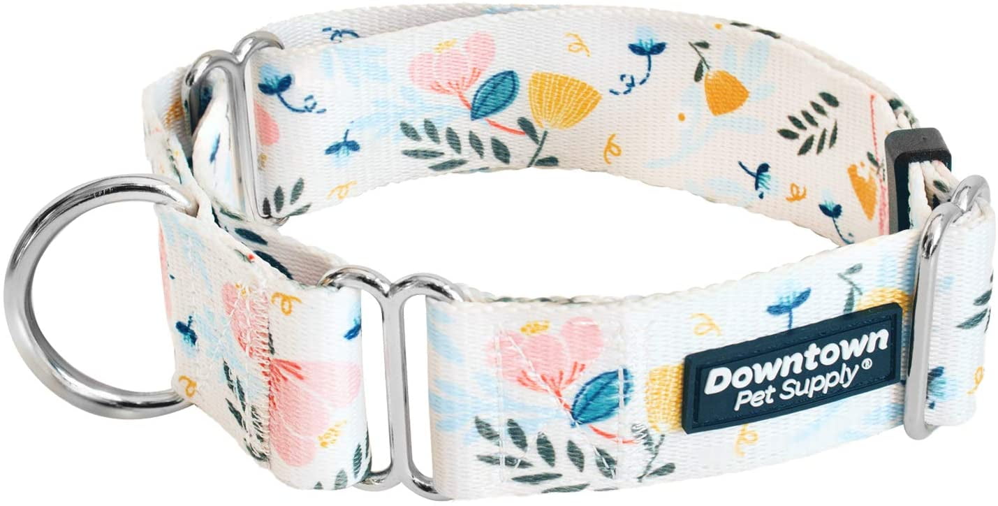 Downtown Pet Supply Big and Wide Durable Martingale Training Collars
