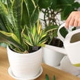 thumbnail image 4 of Danhjin Acrylic Potted Acrylic Potted Decoration Plugin Ornament Table Decor, 4 of 9
