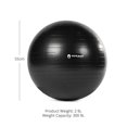 thumbnail image 4 of Titan Fitness 55cm Black Exercise Stability Ball, 21.65" Diameter Inflatable Yoga Ball for Home Gym Workouts, Resistance Exercises, Balance Core Strength Training, 4 of 4