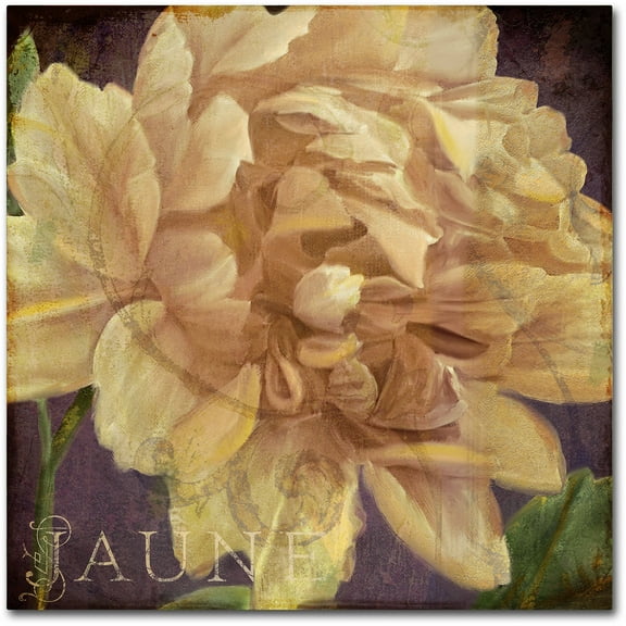 Trademark Fine Art "Jaune" Canvas Art by Color Bakery