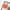 Orange, variant on Hamky Leggings for Women Shorts for Women Shorts Active Casual Shorts Women Yoga Sports Summer Shorts Workout Solid Pants Lounge Pants Women Yoga Pants Women Green L