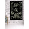 thumbnail image 3 of Art Forms of Nature, Ascomycetes (Fungus), Ernst Haeckel Artwork (36x54 Giclee Gallery Art Print, Vivid Textured Wall Decor), 3 of 3