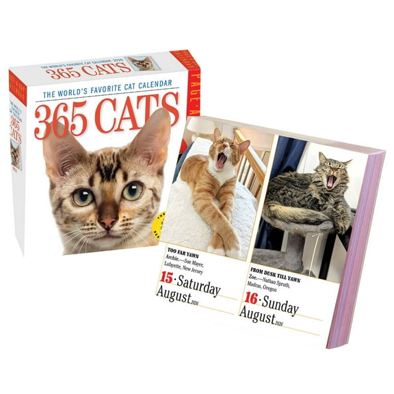 Dog Or Cat Page A Day Calendar