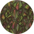thumbnail image 1 of Ahgly Company Machine Washable Indoor Round Transitional Oak Brown Area Rugs, 5' Round, 1 of 7