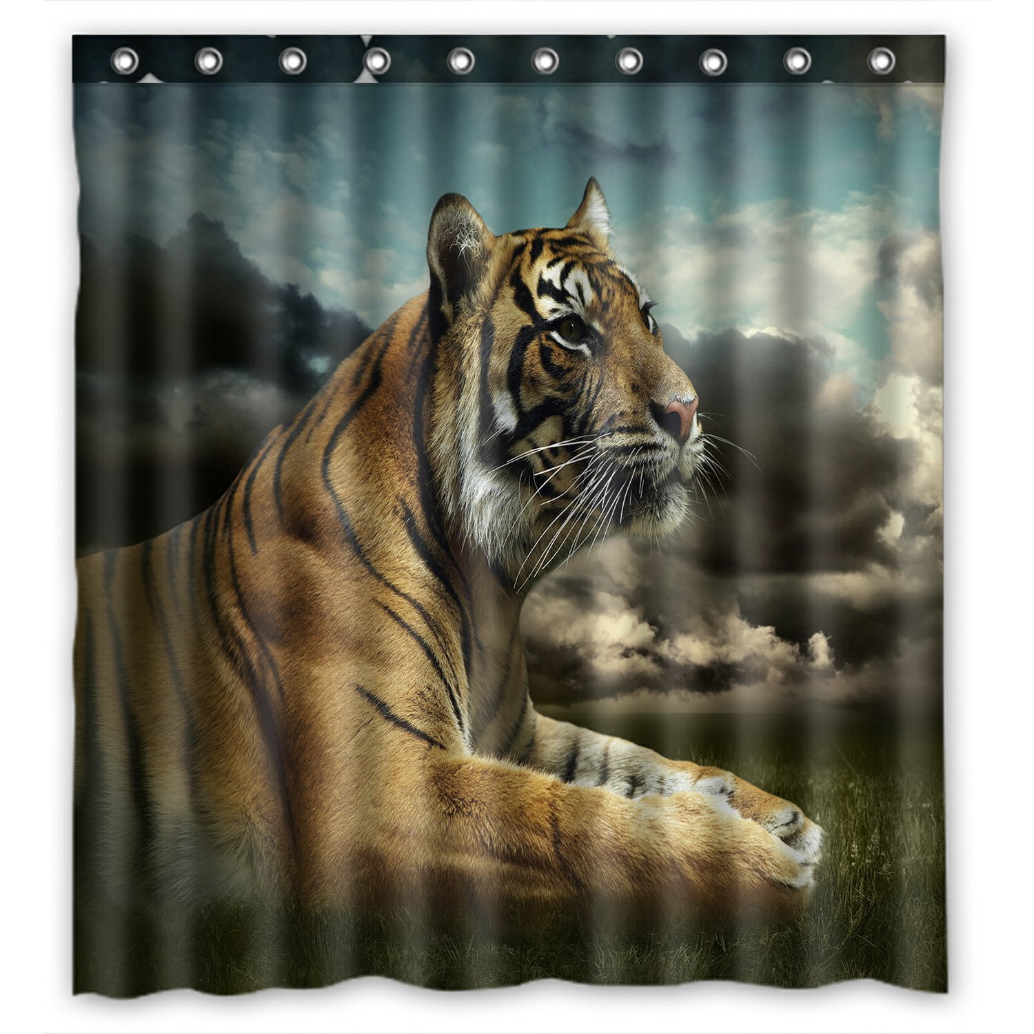 PHFZK Nature Wildlife Shower Curtain, Animal Tiger under Dramatic Sky