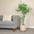 thumbnail image 3 of Creative Co-Op Whitewashed Terra-cotta Urn, 3 of 8